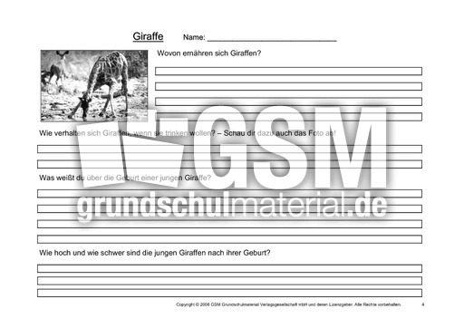 Giraffe-Fragen-4.pdf